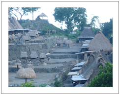 Rumah adat desa Bena Bajawa