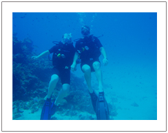 Diving in Gili island, maximal depth 12 meter
