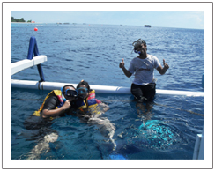 Snorkeling tour to Gili Trawangan, Gili Meno, Gili Air Lombok island