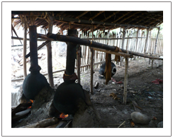 Sopi maker from palm wine at Bajawa village