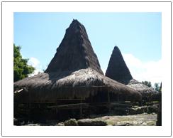 Traditional of Praijing village Sumba island Indonesia