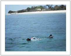 Berenang atau snorkeling di Pulau Gili