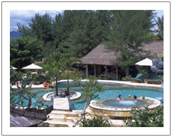 Villa Ombak Gili Trawangan pool view