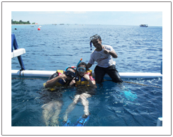 Snorkeling tour to Gili Trawangan Lombok island