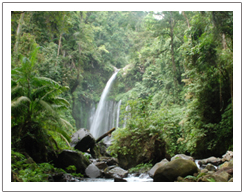 Lombok waterfall tour