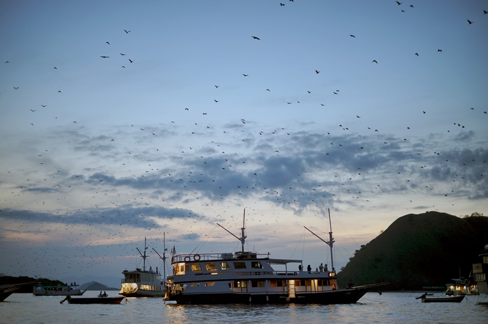 2 Days Komodo Shared Tour