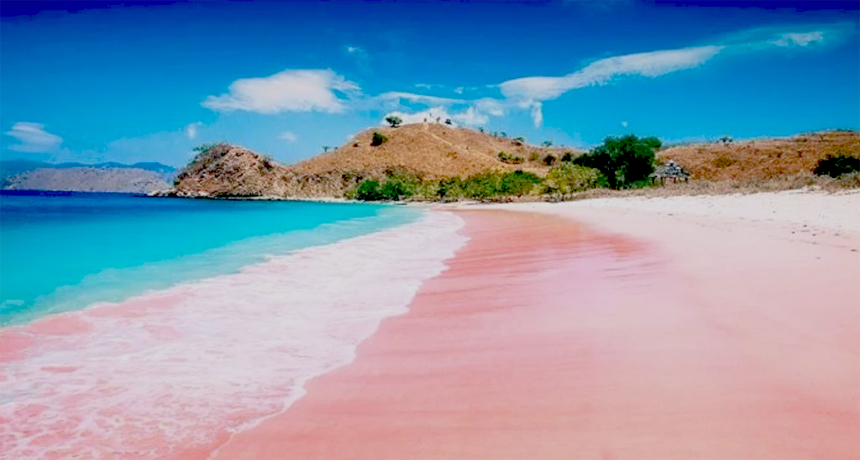 Pink Beach tour Lombok island